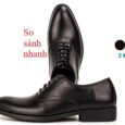 Review Giày Nam Oxford G103 Bụi Leather