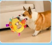 Review Bóng Đồ Chơi Răng Hàm Cho Thú Cưng