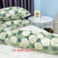 Review chi tiết sản phẩm Combo 2 Gối Đầu + 1 Gối Ôm Poly Cotton Cao Cấp