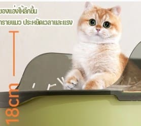 Review Khay Vệ Sinh Cho Mèo Size Lớn 60cm: Chống Văng Cát, Rộng Rãi Thoải Mái
