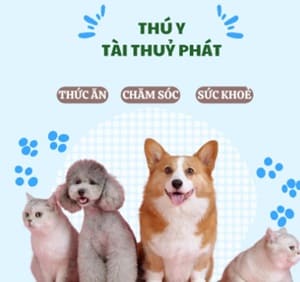Review Viên Vitamin Kháng Thể Plus: Tăng Đề Kháng Cho Chó Mèo Có Tốt?