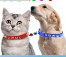 Review Vòng Cổ Dấu Chân Chó Mèo: Lục Lạc Vui Tai, Khóa Bấm Tiện Lợi