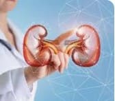 So Sánh Sâm Alipas vs. Hàu Biển OB: Hàng Mỹ Hay Hàng Việt Tốt Hơn Cho Phái Mạnh?
